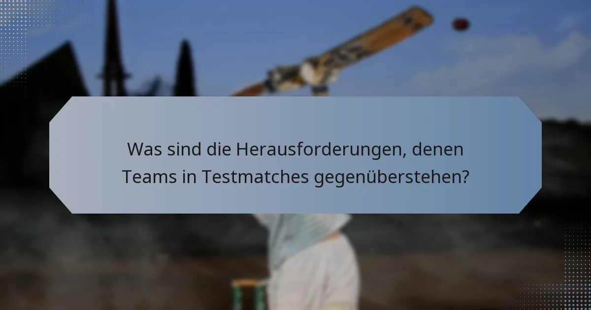 Was sind die Herausforderungen, denen Teams in Testmatches gegenüberstehen?