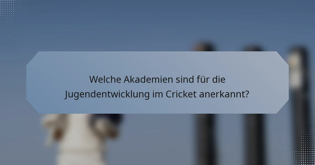 Welche Akademien sind für die Jugendentwicklung im Cricket anerkannt?