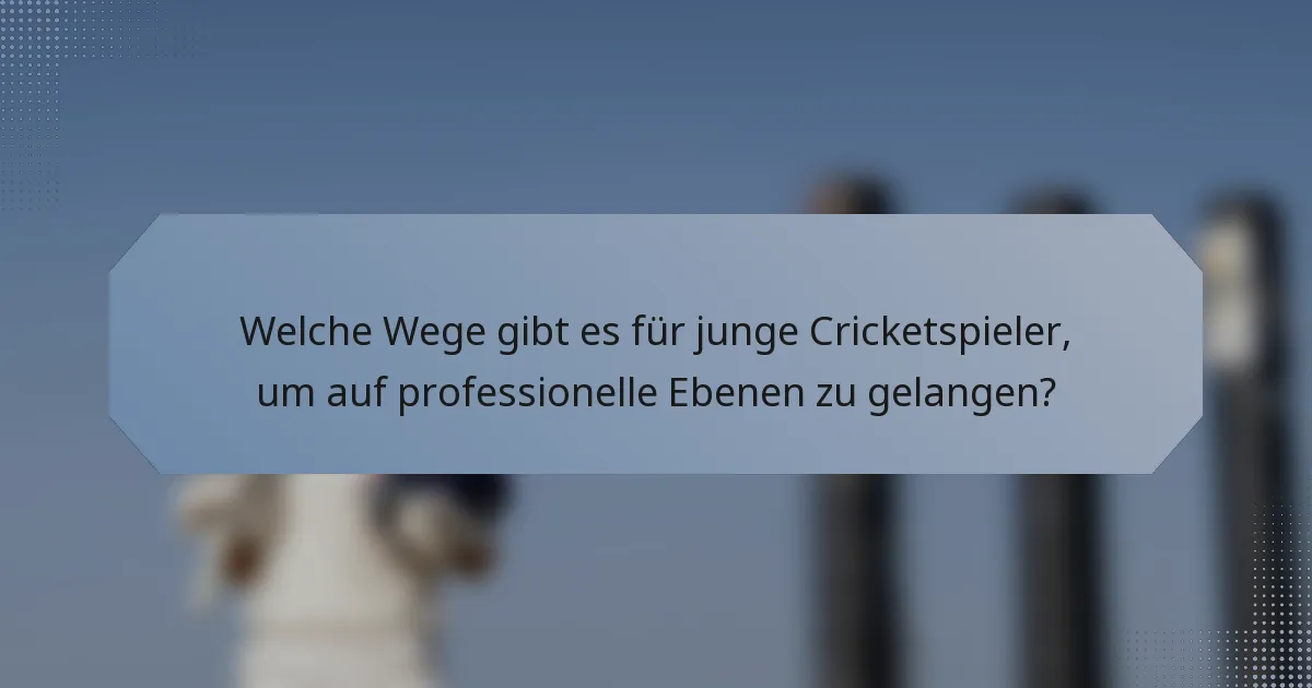 Welche Wege gibt es für junge Cricketspieler, um auf professionelle Ebenen zu gelangen?