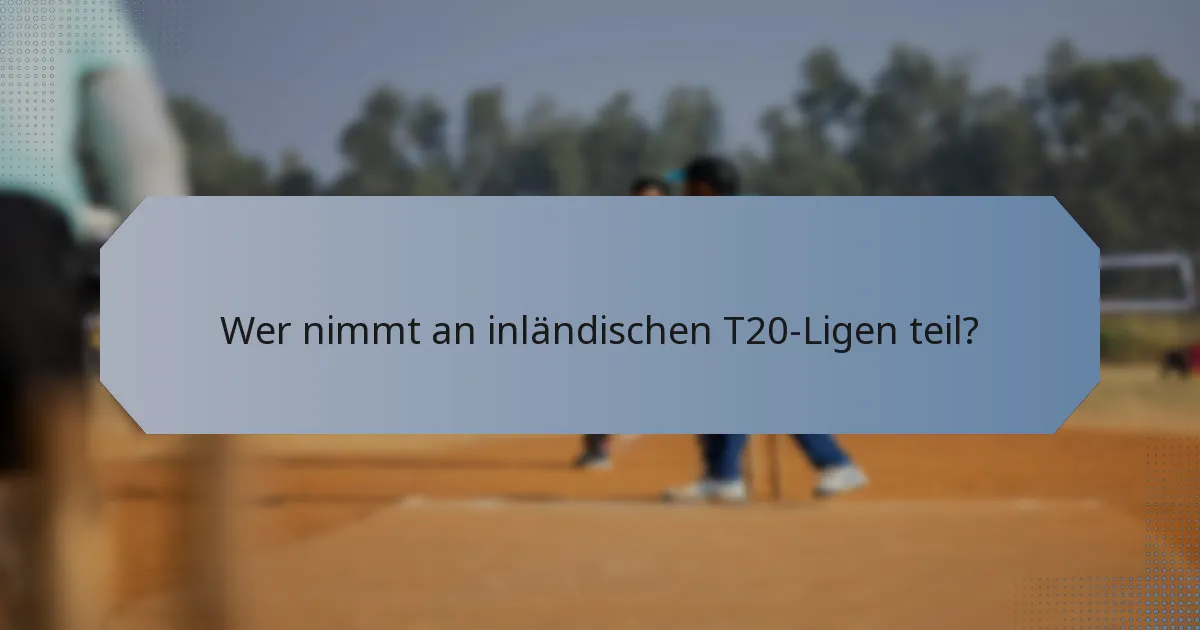 Wer nimmt an inländischen T20-Ligen teil?