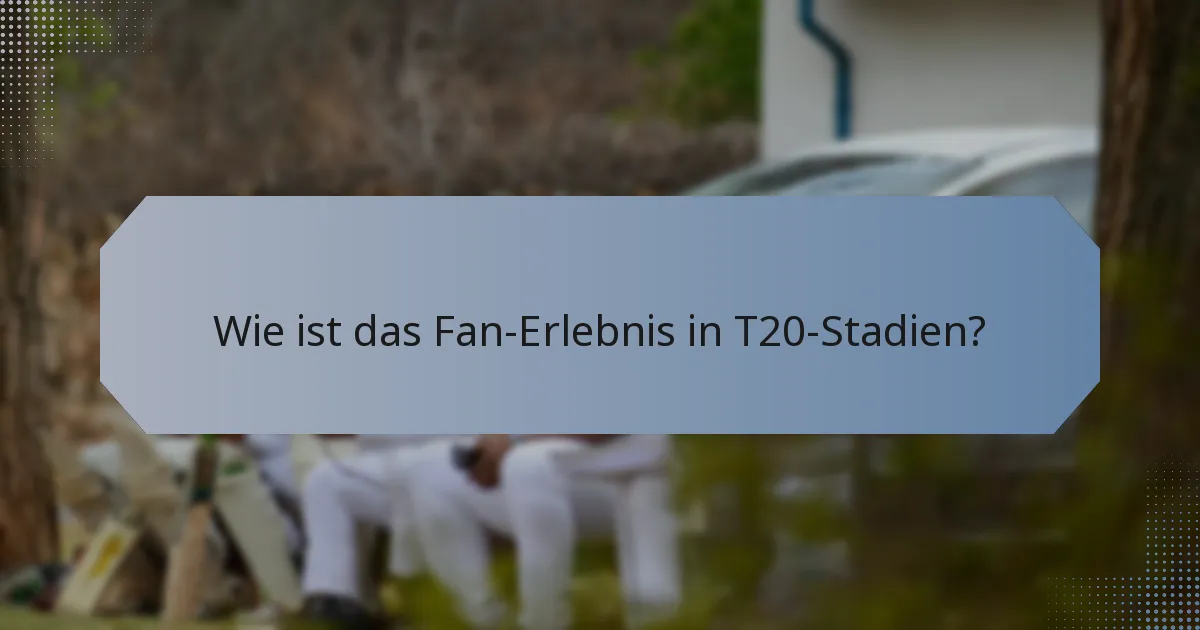 Wie ist das Fan-Erlebnis in T20-Stadien?