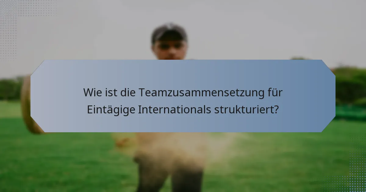 Wie ist die Teamzusammensetzung für Eintägige Internationals strukturiert?