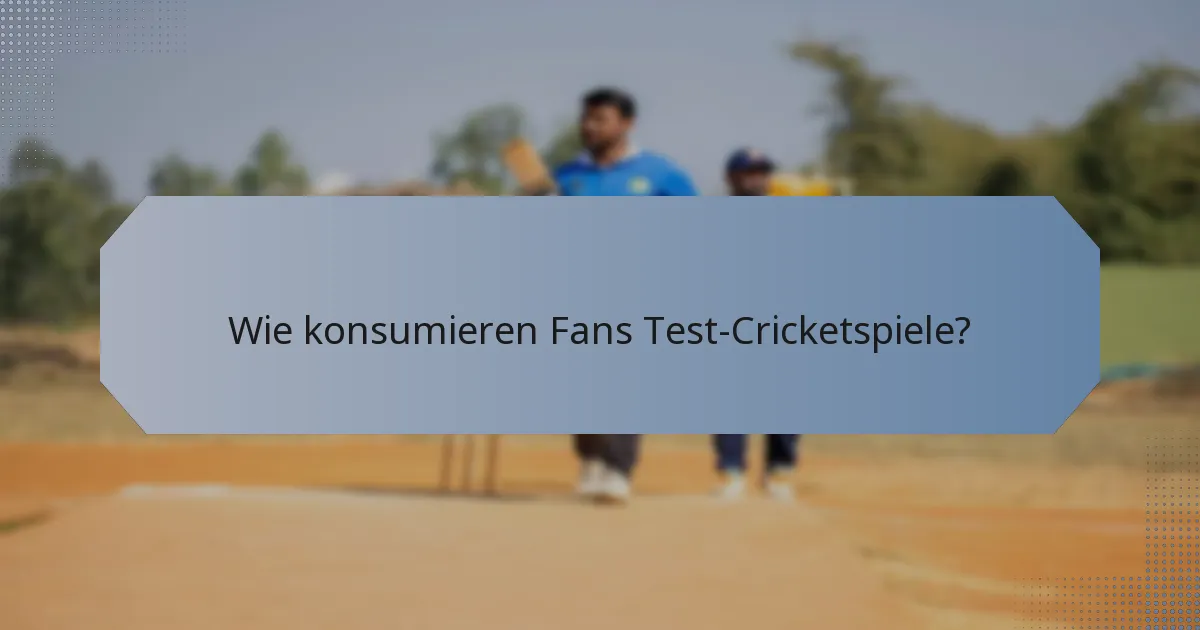 Wie konsumieren Fans Test-Cricketspiele?