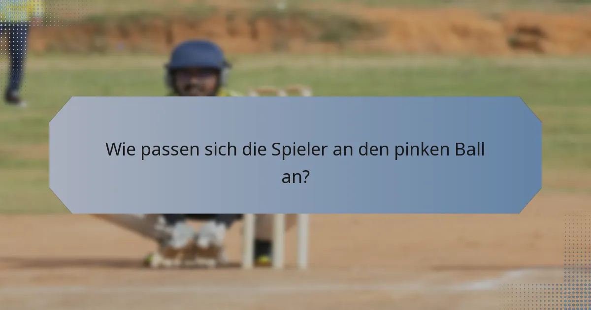 Wie passen sich die Spieler an den pinken Ball an?