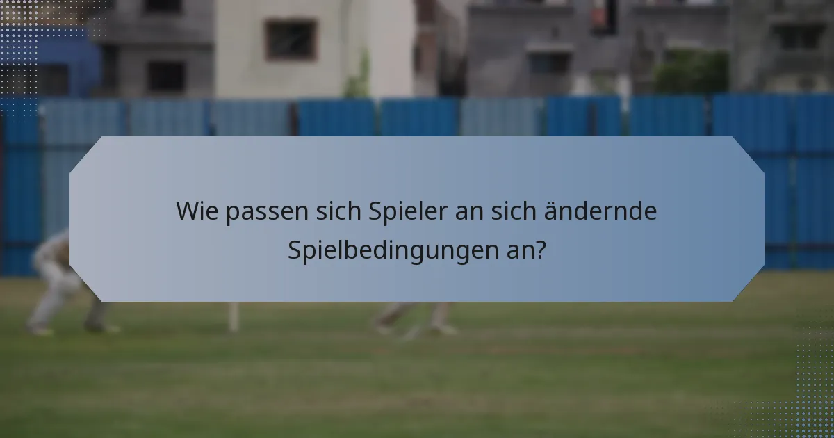 Wie passen sich Spieler an sich ändernde Spielbedingungen an?
